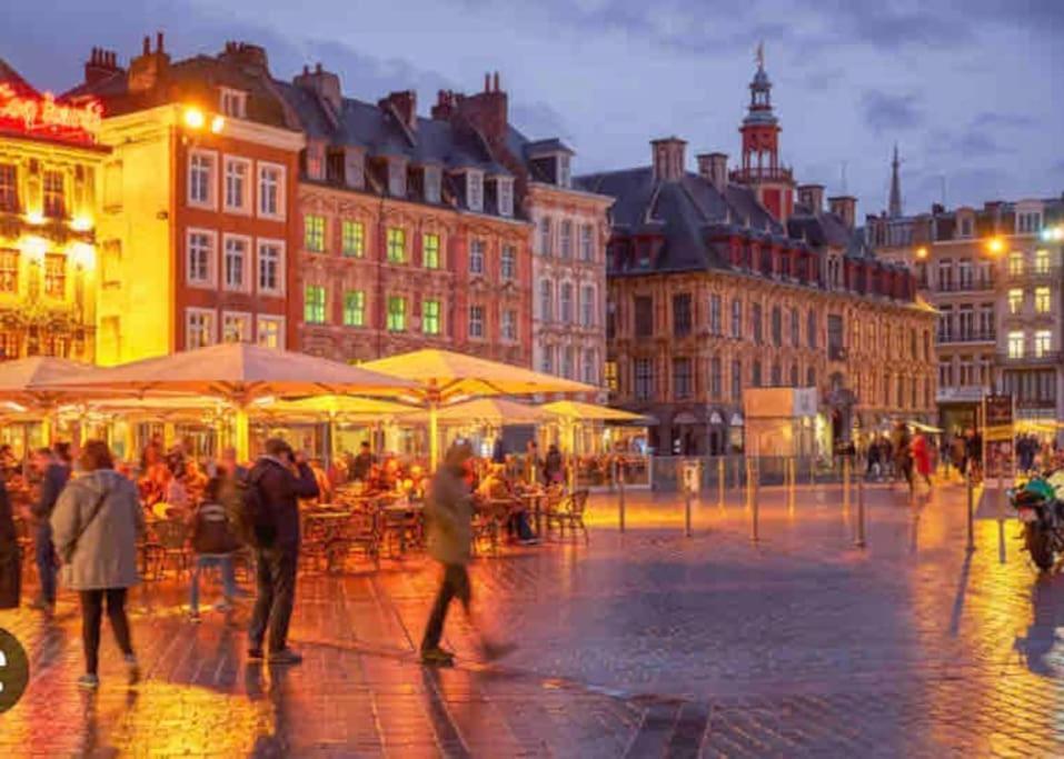 Appartement F3 & Solferino Lille Zewnętrze zdjęcie