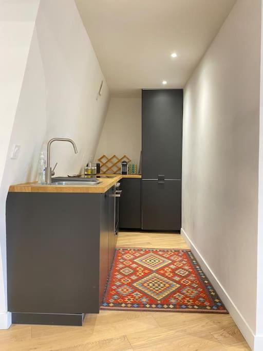Appartement F3 & Solferino Lille Zewnętrze zdjęcie
