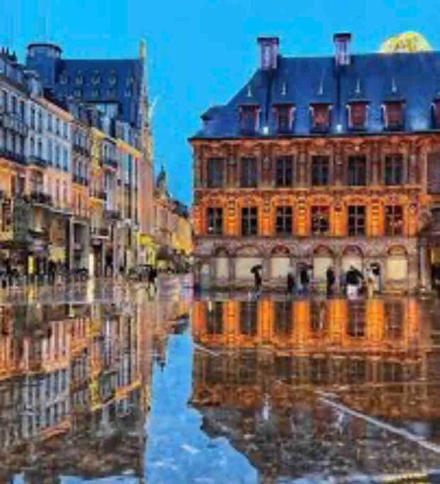 Appartement F3 & Solferino Lille Zewnętrze zdjęcie